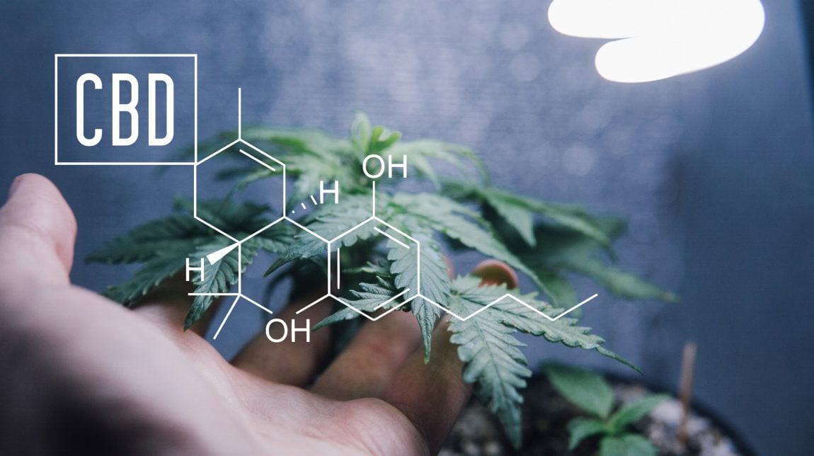 Happy Trails CBD - CBD Store in Chicago