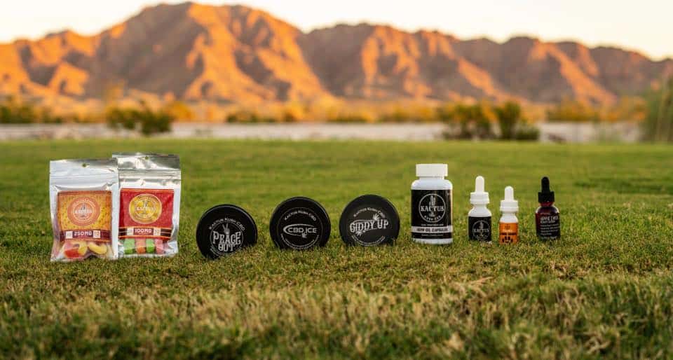 Kactus Kush CBD - Chandler - CBD Store in Chandler