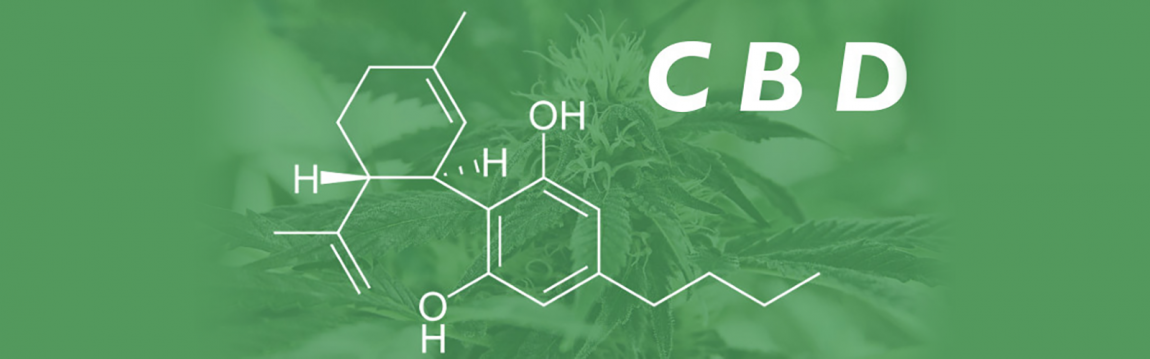 Simple Garden CBD - CBD Store in Indianapolis