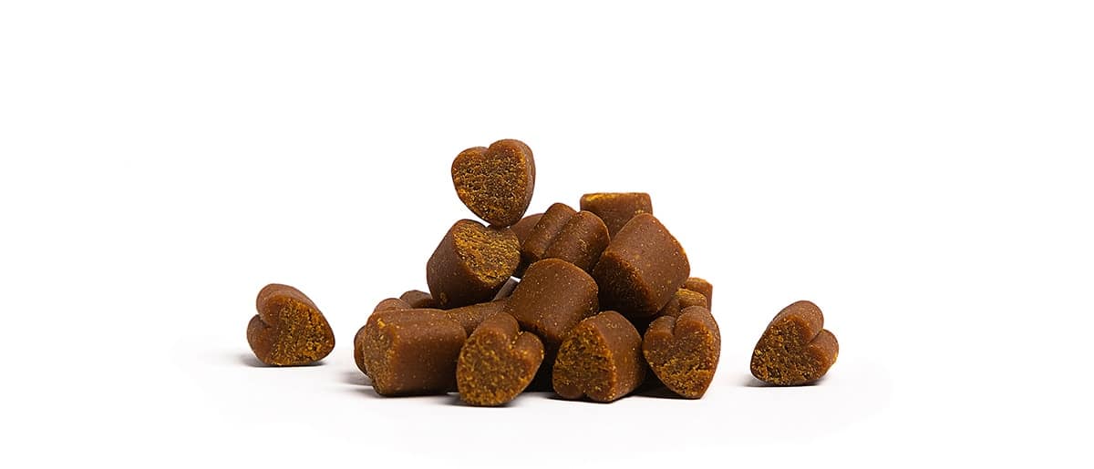 Okoa Pet CBD Dog Treats Quality | FindHempCBD