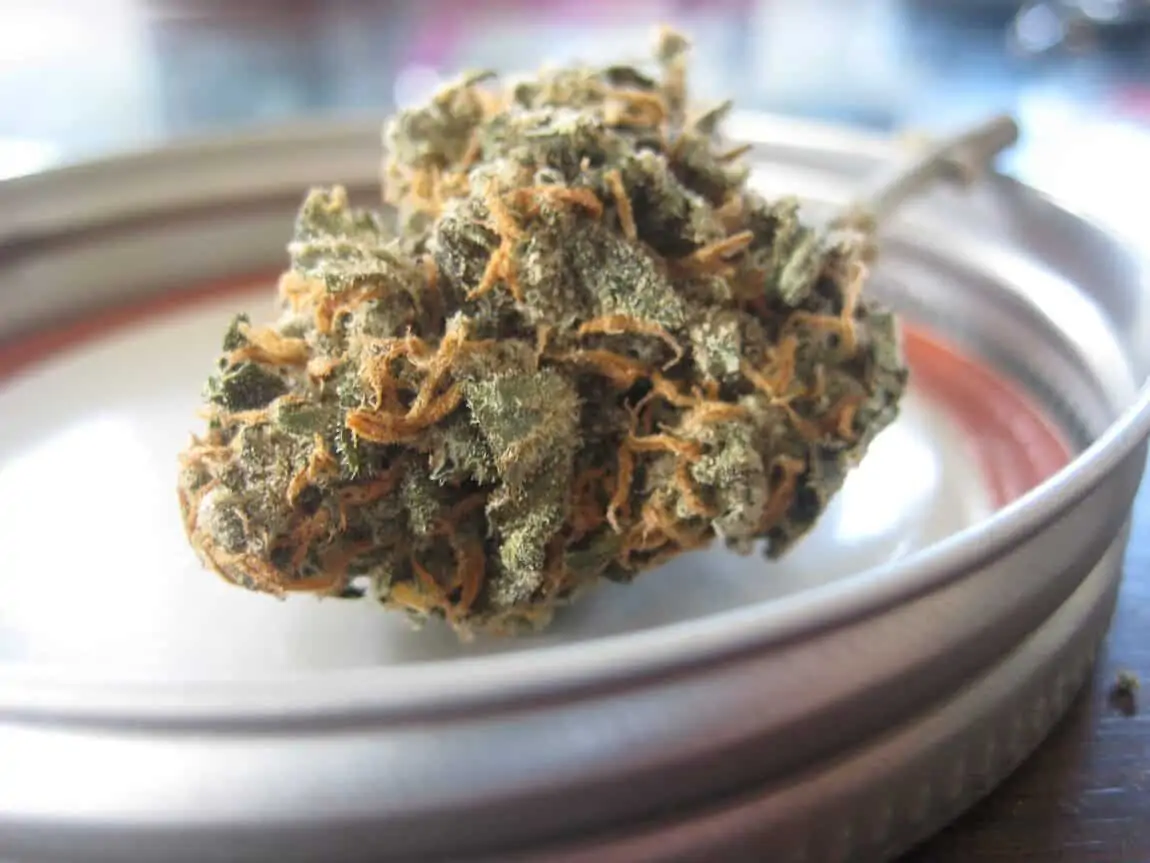 10 Factors that every Good Quality CBD Flower Should Have - FindHempCBD.com
